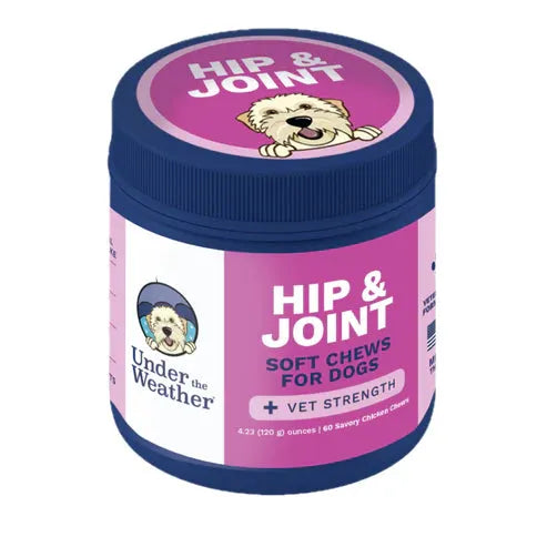 HIP & JOINT CHEWS - DOG - PET Buddy's