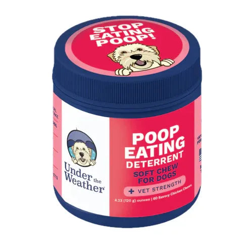 POOP EATING DETERRENT COPROPHAGIA CHEWS - DOG - PET Buddy's