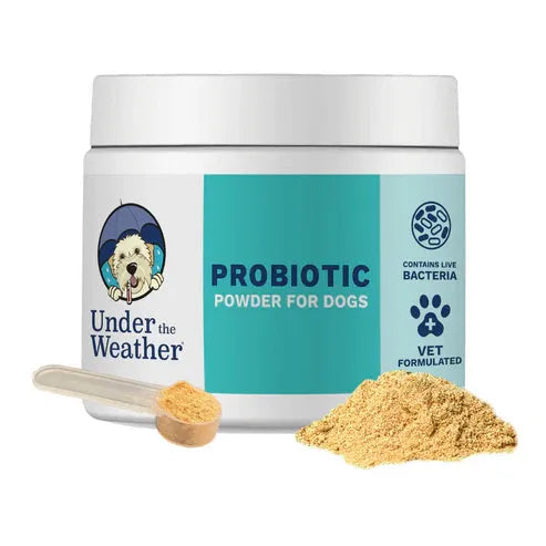 PROBIOTIC POWDER - DOG - PET Buddy's