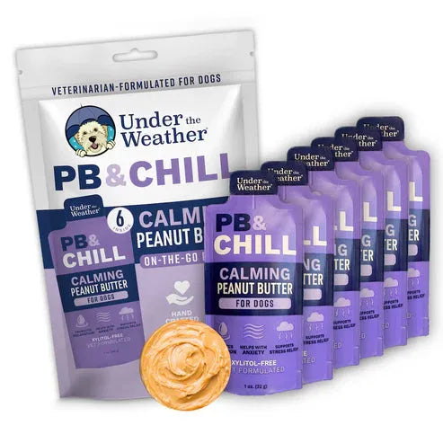 PB&CHILL™ Calming Peanut Butter For Dogs - 6 Packets - PET Buddy's