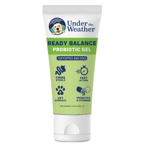 Ready Balance Probiotic Supplement For Dogs - PET Buddy's