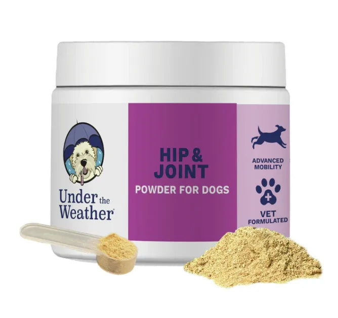 Hip & Joint Support Powder for Dogs - PET Buddy's