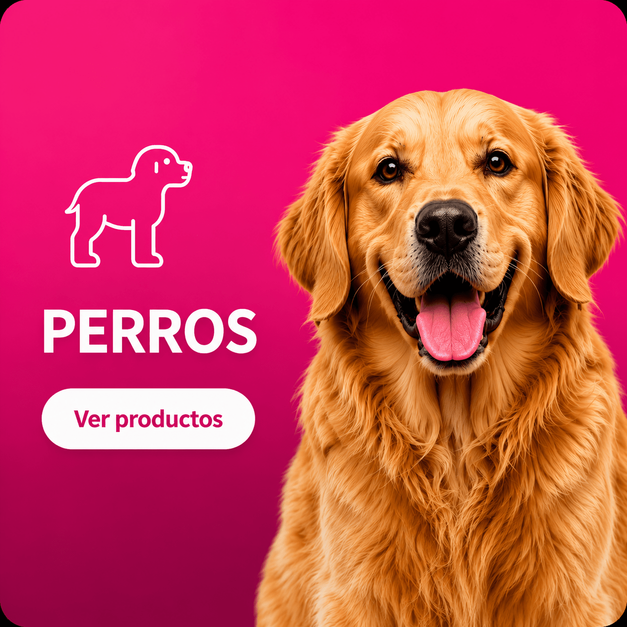 Dog - PET Buddy's