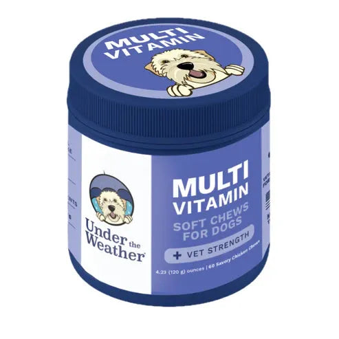 MULTIVITAMIN CHEWS - DOG - PET Buddy's
