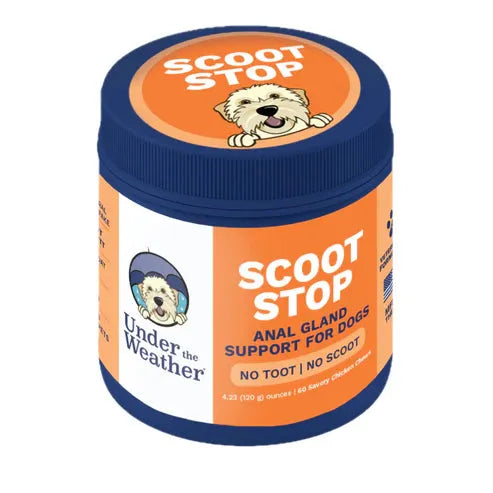 SCOOT STOP CHEWS - DOG - PET Buddy's