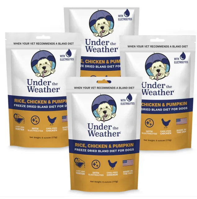 Chicken, Rice, & Pumpkin Bland Diet For Dogs - PET Buddy's