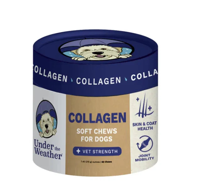 Collagen Chews for Dogs - PET Buddy's