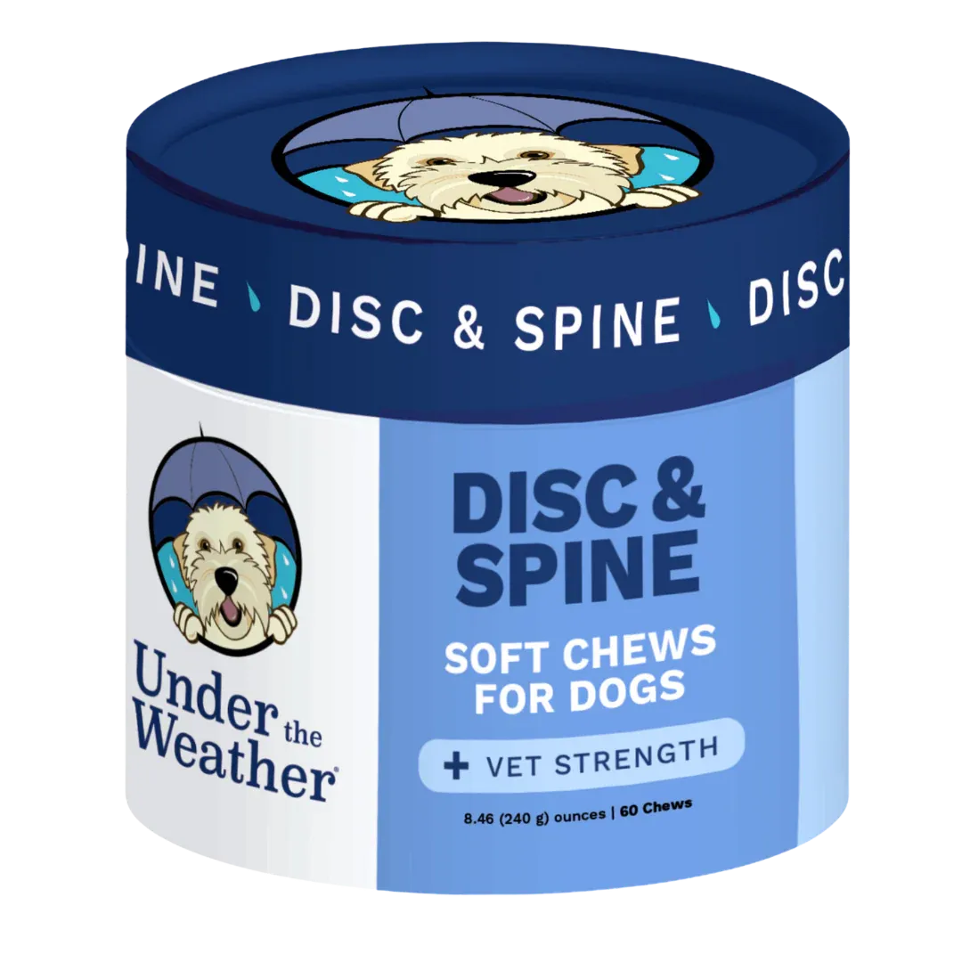 DISC & SPINE DOG CHEW 60CT - PET Buddy's