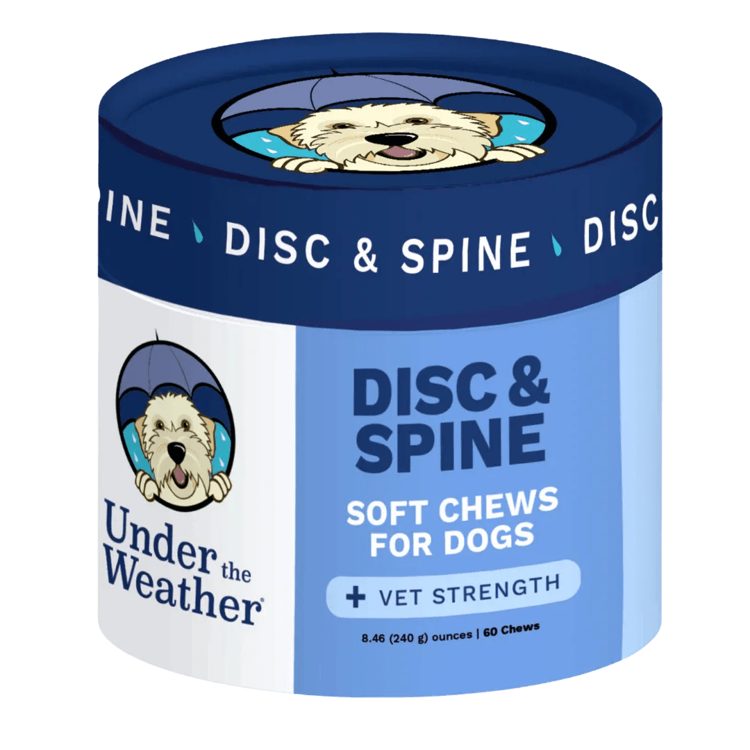 DISC & SPINE DOG CHEW 60CT - PET Buddy'sPet Product