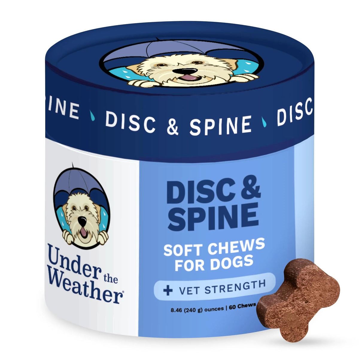 DISC & SPINE DOG CHEW 60CT - PET Buddy'sPet Product