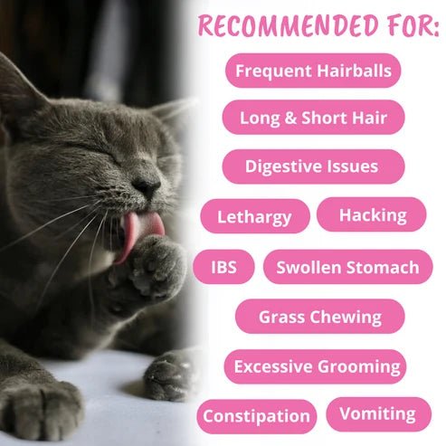 Hairball Support Soft Chews for Cats - PET Buddy's