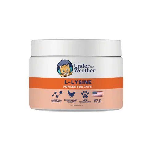 LYSINE POWDER - CAT - PET Buddy'sPet Product