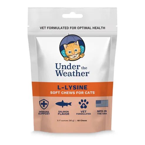 LYSINE SOFT CHEWS - CAT - PET Buddy'sPet Product