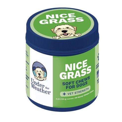 Nice Grass - Urine Neutralizer Chews For Dogs - PET Buddy'sPet Product