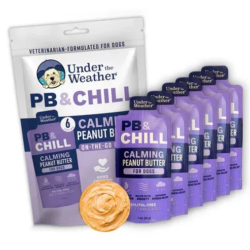 PB&CHILL™ Calming Peanut Butter For Dogs - 6 Packets - PET Buddy'sAnimal and Pet Supply