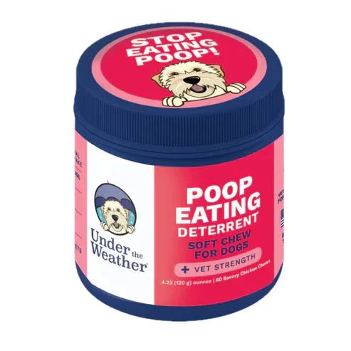 POOP EATING DETERRENT COPROPHAGIA CHEWS - DOG - PET Buddy'sPet Product
