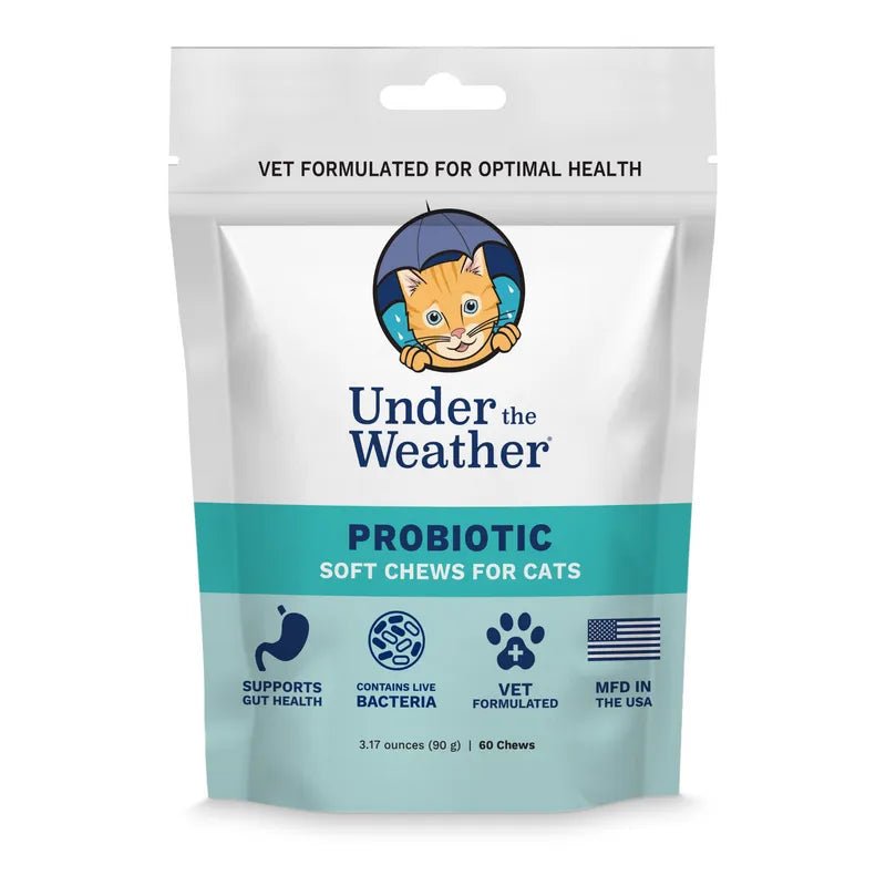 Probiotic Soft Chews for Cats - PET Buddy'sAnimal and Pet Supply