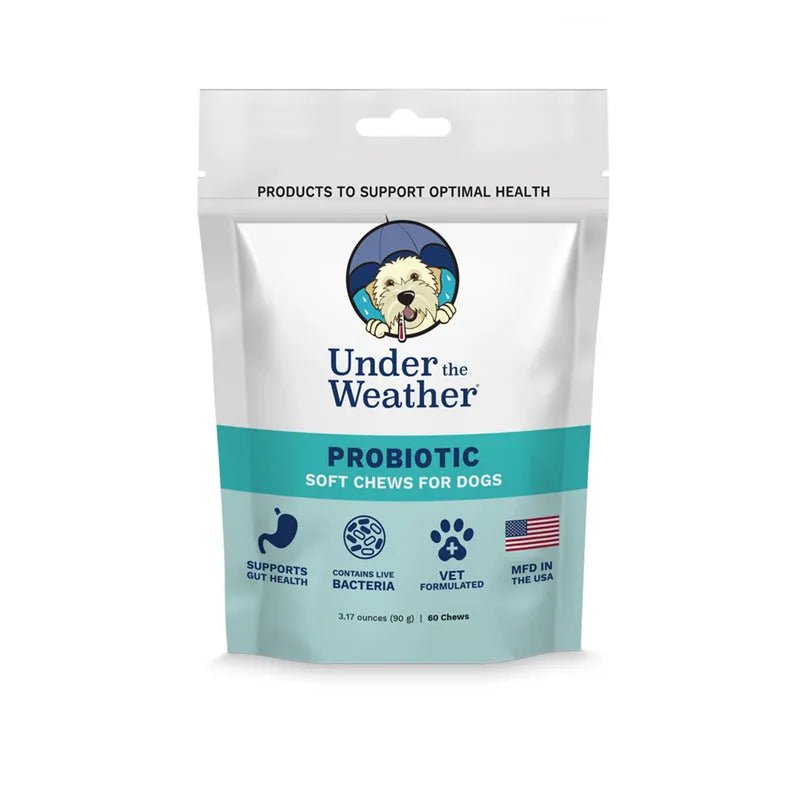 Probiotic Soft Chews For Dogs - PET Buddy'sAnimal and Pet Supply