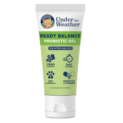 READY BALANCE CAT - Squeezable - PET Buddy'sPet Product
