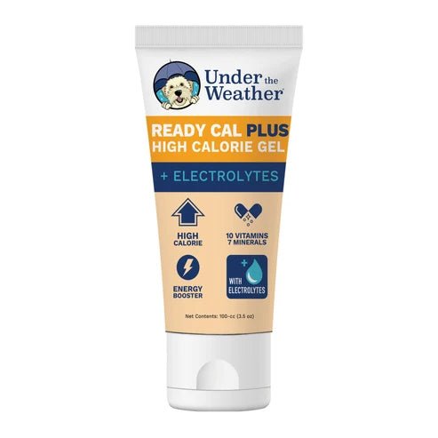 Ready Cal® PLUS Electrolytes for Dogs - PET Buddy's