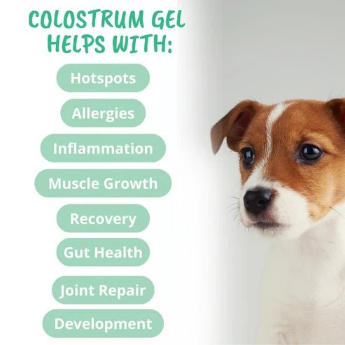 Vital Colostrum Squeezable Gel for Dogs - PET Buddy'sPet Product